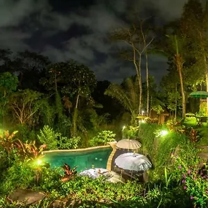 Willa The Jungle, Ubud