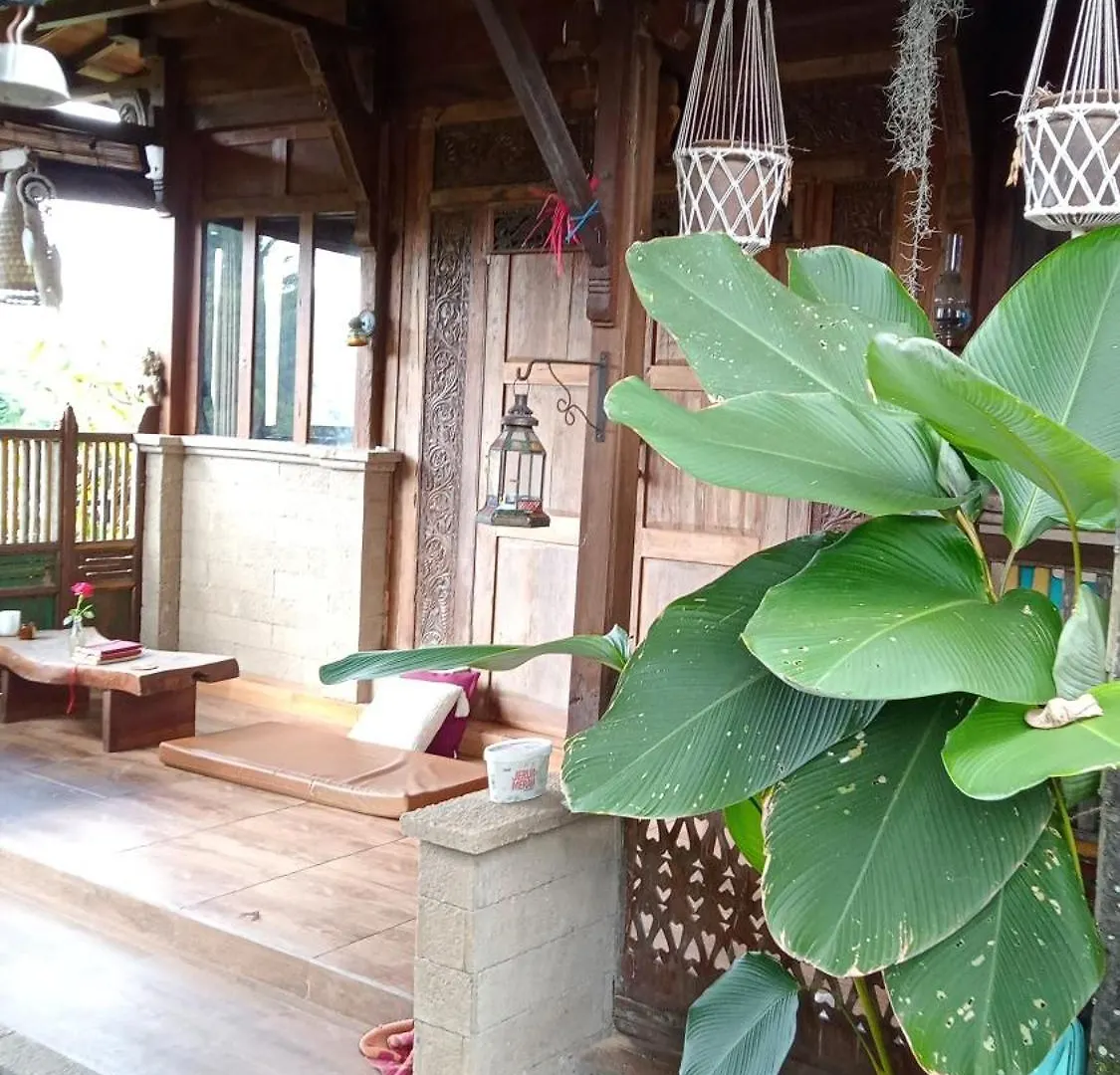Joglo House Nagi Villa Ubud  0*, Ubud (Bali) Indonesia